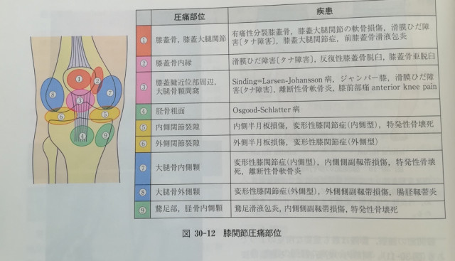 膝疾患分類